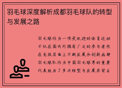 羽毛球深度解析成都羽毛球队的转型与发展之路